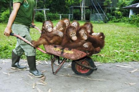 hhhhhhh b9awelina kher le9rodaaaaa